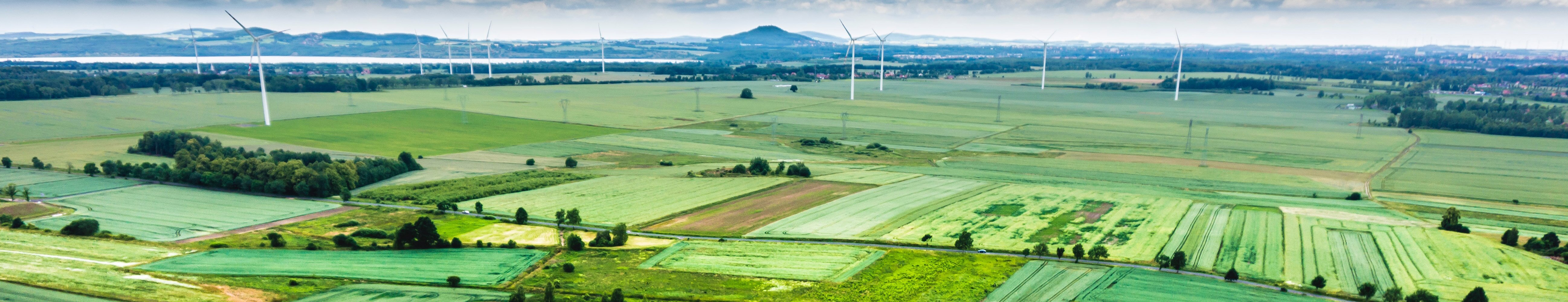 Net zero vs zero carbon: what is it and how do we reach it?