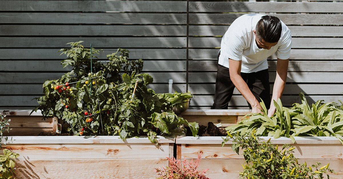 39 easy ways to go greener at home